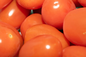 Close Up of Baby Plum Red Tomatos