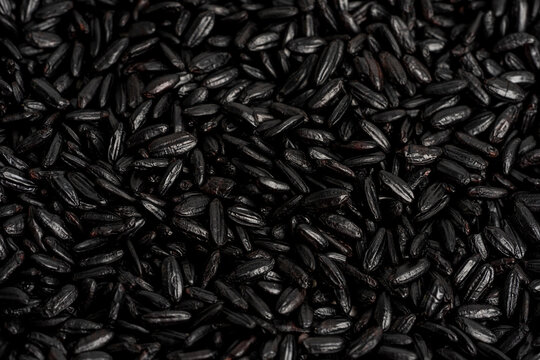 Close up of black rice 