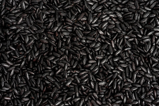 Close up of black rice 