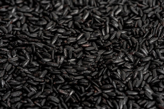 Close up of black rice 
