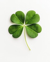 Four Leaf Clover Isolated on Pure White Background with Natural Green Texture