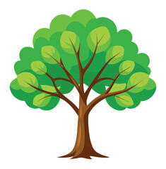 Obraz premium Adobe Illustrator Artwork