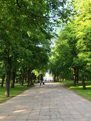 The Trinity Hill Park and the National Opera and Ballet Theatre of Belarus, Minsk. 