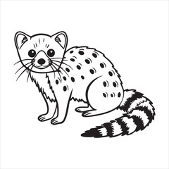 Elusive Nocturnal Hunter of Australia - Quoll