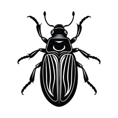 beetle of a silhouette art