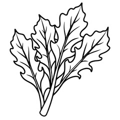 Sleek Arugula Illustration Vector Line Art