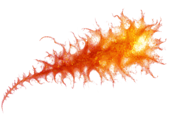 Abstract image of a fiery, orange sea creature.  Perfect for fantasy or science fiction.