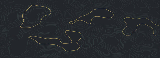 Abstract Topography line poster vector. The concept of a topographic contour geography scheme and the terrain path. 