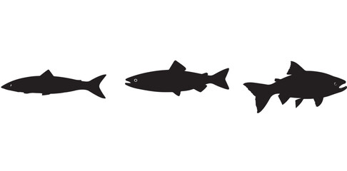 Salmon Fish silhouette in line art style. Fish vector by hand drawing, Fish tattoo on white background, Fish Vector Illustration.