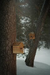 Wooden birdhouse on a tree in the forest.