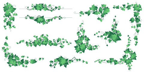 Vine jungle plant. Liana vegetation, tree creeper, twig climber ivy. Forest green garden. Nature leaf in park. Border foliage. Botanical decorative isolated frame. Wedding decor. Vector illustration © Natalia