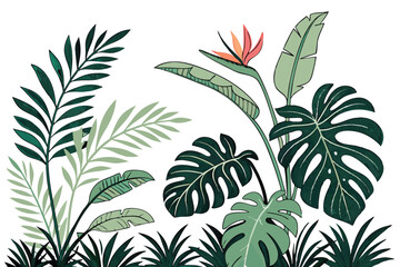 Tropical foliage border, lush green leaves, palm fronds, monstera plants, exotic flora, white background, botanical illustration, dense jungle vegetation, vibrant greens, diverse leaf shapes, natural 