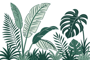 Tropical foliage border, lush green leaves, palm fronds, monstera plants, exotic flora, white background, botanical illustration, dense jungle vegetation, vibrant greens, diverse leaf shapes, natural 