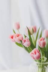 Pink tulips in a glass vase