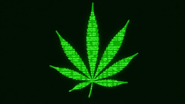A marijuana leaf with a "hacked" aesthetic, covered in glowing green numbers on a black background. The numbers scroll and pulse, blending nature with a cyberpunk tech vibe. - Powered by Adobe