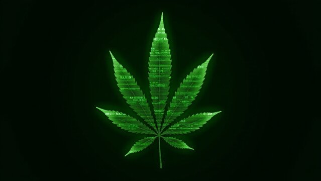 A marijuana leaf with a "hacked" aesthetic, covered in glowing green numbers on a black background. The numbers scroll and pulse, blending nature with a cyberpunk tech vibe.