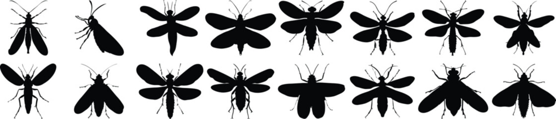 Insect silhouette set vector design big pack of fly illustration and icon
