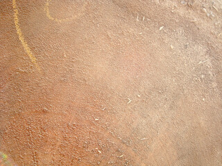 Sharp and very natural wood texture photo from nature