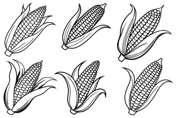 corn on the cob vector line art design 