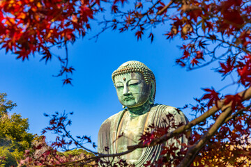 Ancient bronze statue of the Great Buddha Daibutsu at Kotoku-in temple in Kamakura, Japan. It is an important landmark and a popular destination for tourists.