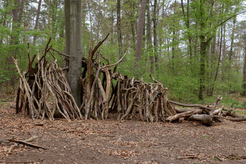Aufgeschichtetes Totholz im Wald