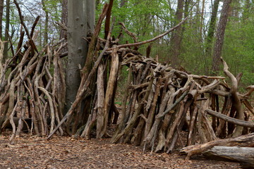 Aufgeschichtetes Totholz im Wald