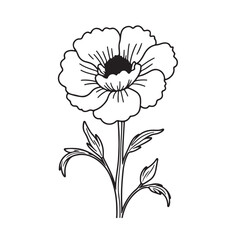 marigold flower line art vector
