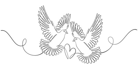 Couple of dove line art vector illustration