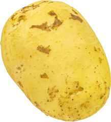 Peeled early potato isolated on white background