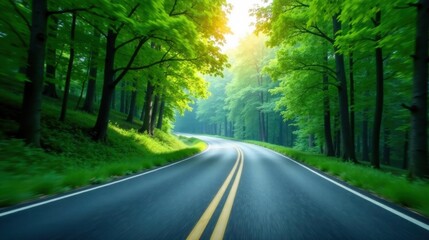 Fototapeta premium A winding asphalt road curves through a lush green forest, bathed in the warm glow of sunlight filtering through the dense canopy of trees, creating a picturesque and serene driving experience.