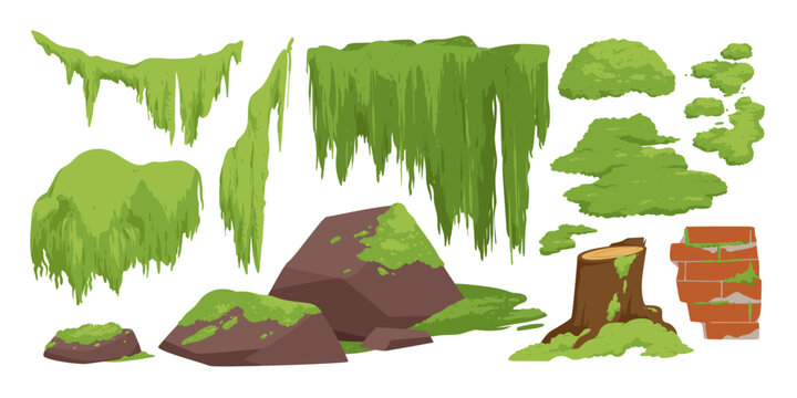 Green moss and lichen set. Swamp plant and liana hanging on forest tree branch, grass and oakmoss growth on brown stump and brick wall, mossy rocks and stones collection cartoon vector illustration