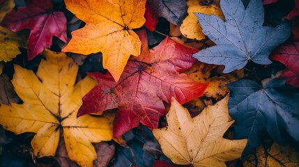 Vibrant autumn maple leaves in various colors creating a seasonal mosaic : Generative AI