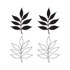 Botanical illustration, symmetrical leaf design, black and white