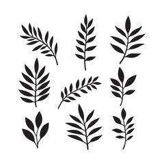 Tropical monstera leaves, black and white, minimalist design