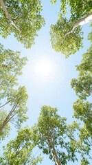 Fototapeta premium Lush green trees form a canopy against a clear blue sky, with the sun shining brightly from the center. A serene and uplifting natural perspective.