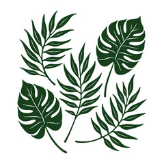 Tropical monstera leaves, black and white, minimalist design