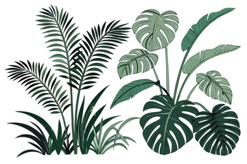  Tropical plants, lush foliage, botanical garden, tropical leaves, ferns, monstera, palm fronds, exotic greenery, jungle flora, dense vegetation, varied leaf shapes, natural arrangement, vibrant green
