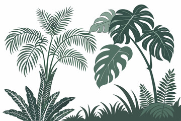 Tropical plants, lush foliage, green leaves, palm fronds, monstera leaves, ferns, jungle flora, botanical illustration, white background, isolated plant clusters, tropical garden design, landscaping e