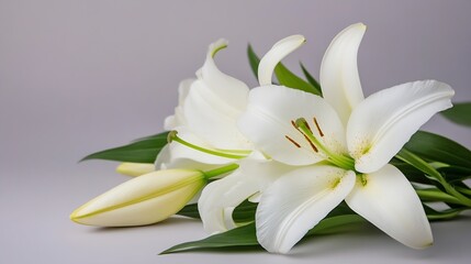 Fototapeta premium Elegant White Lilies Against Soft Background Perfect for Weddings : Generative AI