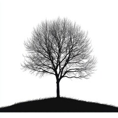 Bare Winter Tree Silhouette On Hill