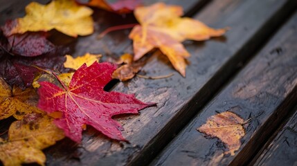 Vibrant autumn leaves on a rustic wooden bench after rain : Generative AI