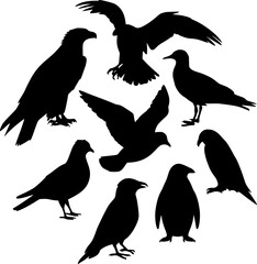 Black Silhouette Collection of Various Birds and Penguin