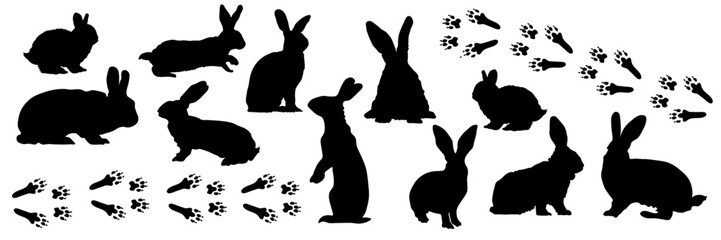 Hares, rabbits, tracks. Set of black silhouettes of hares on a transparent background. Rabbit tracks. Easter bunny. Silhouettes of hares in different poses © MJD_Studio