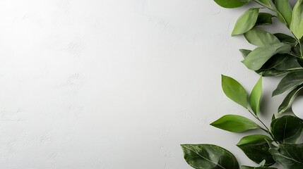 Minimalistic Green Leaves on White Texture Background Botanical Art : Generative AI