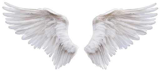 Fototapeta premium Celestial Flight Soft and Radiant Angel Wings for Spiritual Inspiration. Isolated, On Transparent Background