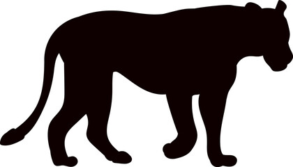 lioness, panther walking silhouette on white background vector