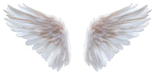 Heavenly White Feathers Elegant Angel Wings Isolated on White Background. Isolated, On Transparent Background