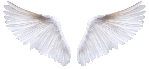 Obraz premium Divine Guardian Angel Wings Pure and Mystical Symbol of Protection. Isolated, On Transparent Background