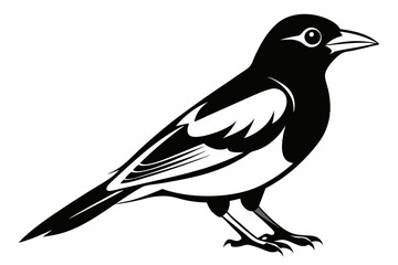 illustration of a bird