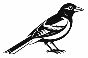 illustration of a bird